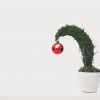 green plant with red ornament planted in white ceramic pot